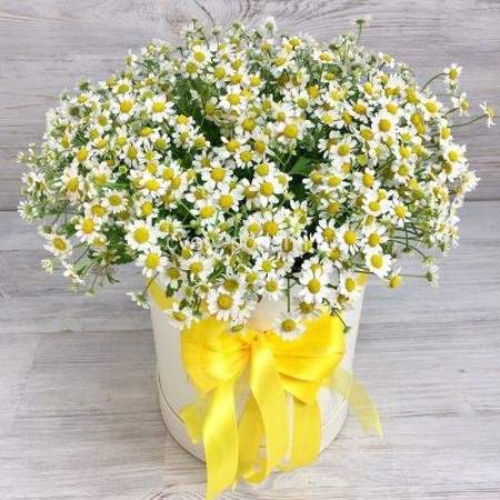 Букет ромашек в шляпной коробке